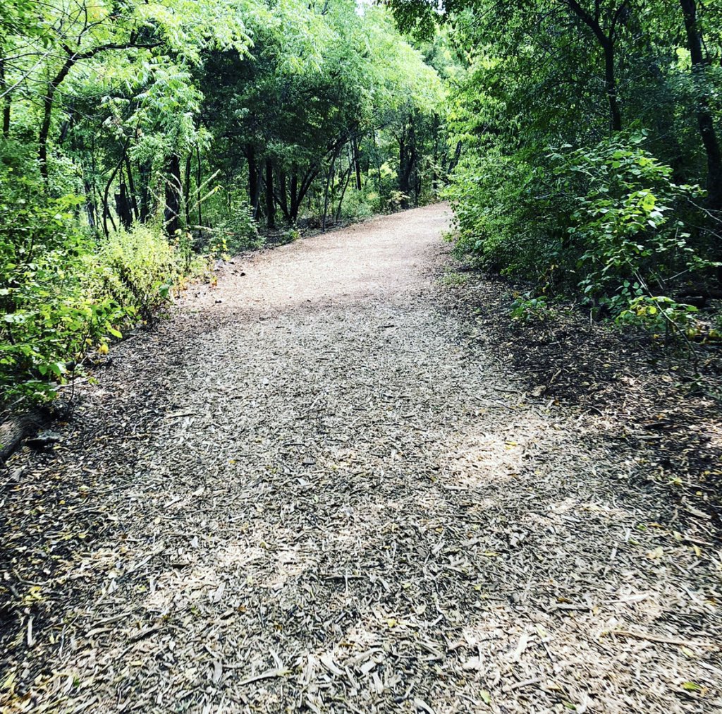 Hiking!Cedar Ridge Preserve 7171 Mountain Creek Pkwy Dallas, TX 75249