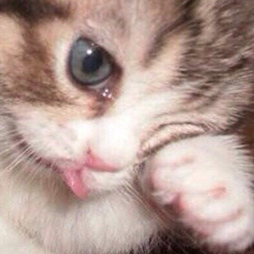 три раза пытаешься зайти в Твиттер и заходишь в ВК
заходя в ВК не можешь вспомнить зачем, выходишь, видишь Твиттер, вспоминаешь, заходишь в ВК