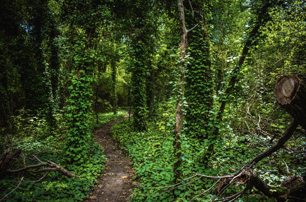 Oak Cliff Nature Preserve2875 Pierce StreetDallas, TX 75233