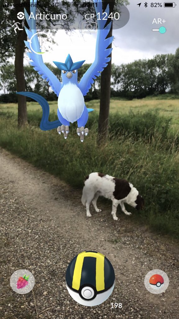 Els Pouw tweet media