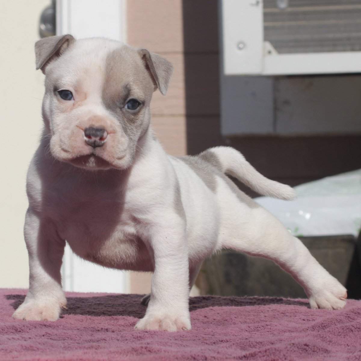 roach_solano's tweet image. $$$$ Wreck-It Ralph daughter