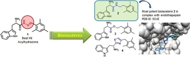 ChemMedChem's tweet photo. A.K.H. Hirsch et al. @UnivGroningen @Helmholtz_HZI @Saar_Uni @Uni_Mr used dynamic #combichem to identify replacements for unstable acylhydrazones, aiding future lead development #proteases #bioisosteres #drugdesign https://t.co/DphumnzXXJ https://t.co/Ir82XgdLuJ