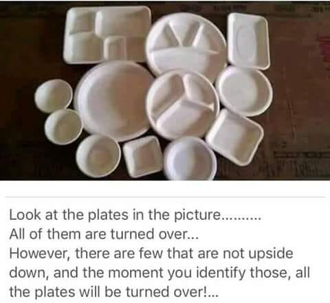 This is the most intriguing thing ever! Do you see it?