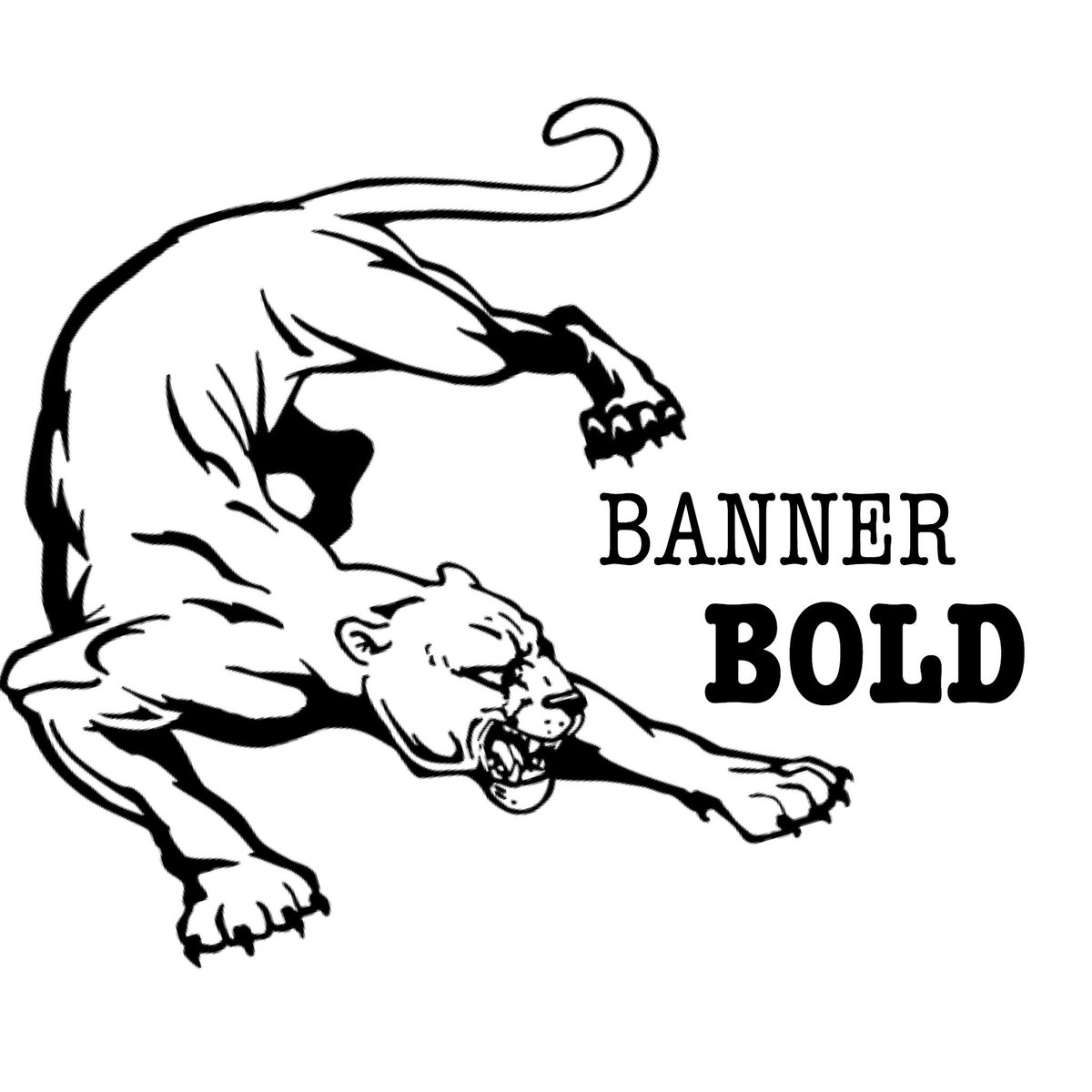 Vhs Banner Bold On Twitter 2018