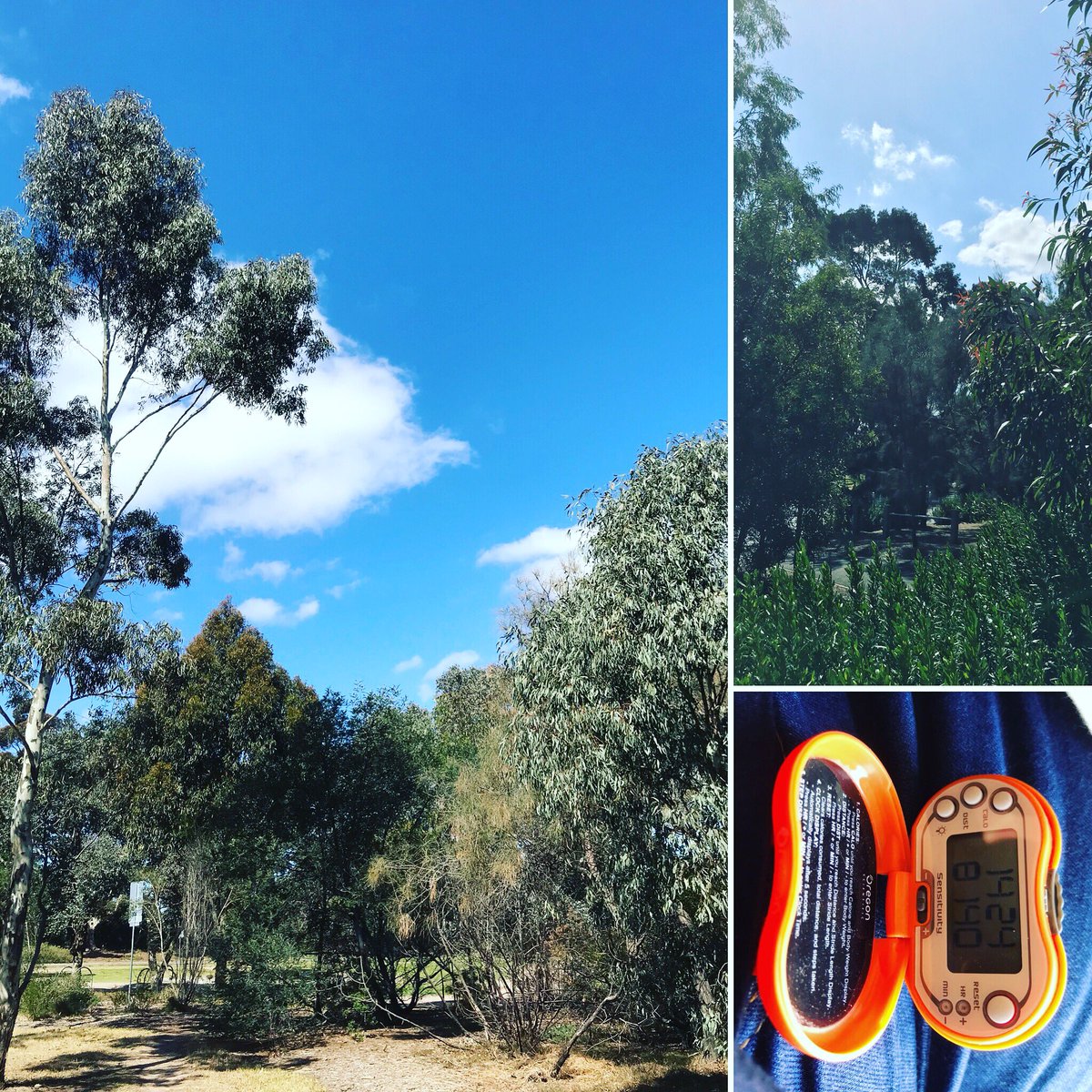 Took a stroll today. It’s World Mental Health Day. As a poor mental health patient, I was feeling the needs to get out the office/lab. Pretty good afterwards and nicely done with the steps. 😌 #WorldMentalHealthDay