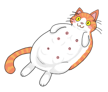 そらねこ Skycattail Twitter そらねこ Skycattail Twitter