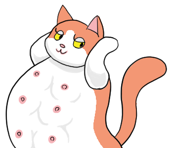 そらねこ Skycattail Twitter そらねこ Skycattail Twitter