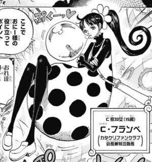 ワンピースの嫌いな女キャラランキング 0人に嫌いな理由を聞いてみた ｗ やあ 僕の漫画日記