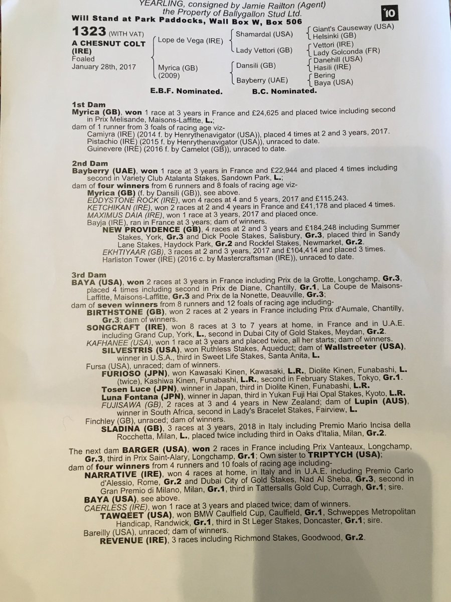 Lot No 1323 <a href="/Tattersalls1766/">Tattersalls</a> Book 2.  A beautiful Chestnut Colt by <a href="/BallylinchStud/">BallylinchStud</a> Lope de Vega out of Stakes placed Myrica. Viewing <a href="/jamierailton/">Jamie Railton Sales Agency</a> Wall Box W, Box 506 from Friday.