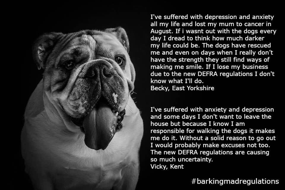 ohmarvellous's tweet image. Dear @MindCharity, @JackieDP, @mentalhealth @michaelgove this is the real human cost of @DefraGovUk new home dog boarding &amp;amp; daycare regulations on small businesses owned by people dealing with mental health issues. #barkingmadregulations findpetboarding.com/licensing/