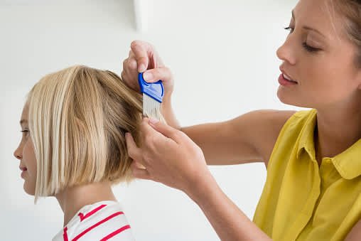 ClearLice's tweet photo. LICE OUTBREAK !!! Schools Braced For Lice Epidemic 
https://t.co/BI2ouBg8vS

#liceoutbreak #licetreatment #licetreatments #lice #naturalliceremoval #naturallicerepellant #naturallicetreatment #naturalliceproducts https://t.co/xywYX8kSU0