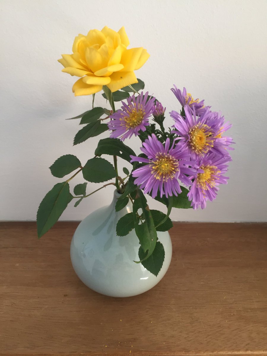 BrophyLevey's tweet image. Rather too conventional pickings this morning for my taste but cheering nonetheless. #complementarycolours