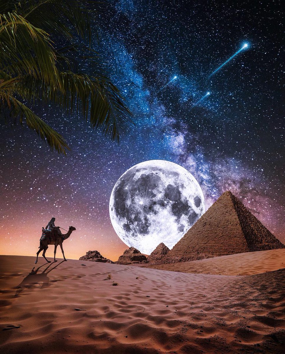 EmailHolidays's tweet photo. 🏷 TAG someone you would take here! 😍 
📍 Pyramid, Giza, Egypt
🔺
📷 @saaggo || #emailholidays Follow @emailholidays for more! 👌
🔺
#egyptbesty #visitEgypt #Egyptsafe #pyramid #pyramids #sphinx#adventure #giza #travel #traveler #traveling #explore #thisisegypt #adventuretime https://t.co/7DxHIpZdjP