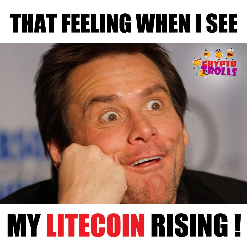 Crypto Trolls tweet media
