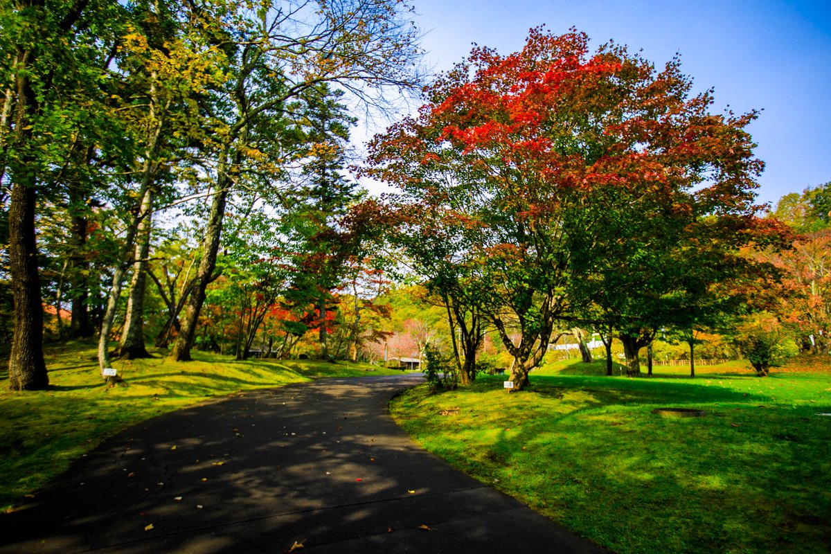 夕張新聞 夕張滝の上公園 まだ紅葉が楽しめております 今週末も楽しめるのかなと思います 北海道 夕張市 夕張 公園 紅葉 秋 景色