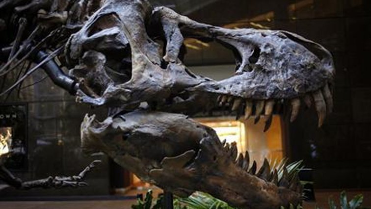 RT @Journ_SA [Podcast] #TheScienceInside: Find out about the recent discovery of the first dinosaur graveyard in Eastern Cape with Dr Jonah Choiniere from Wits University and James Rhalane from the community of Qhemerha ow.ly/tjjs30maAoZ  #science