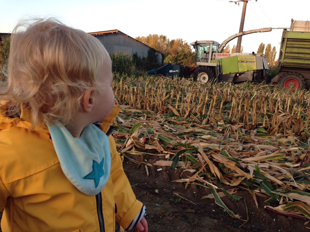 Bottesdepaille & Cie tweet media