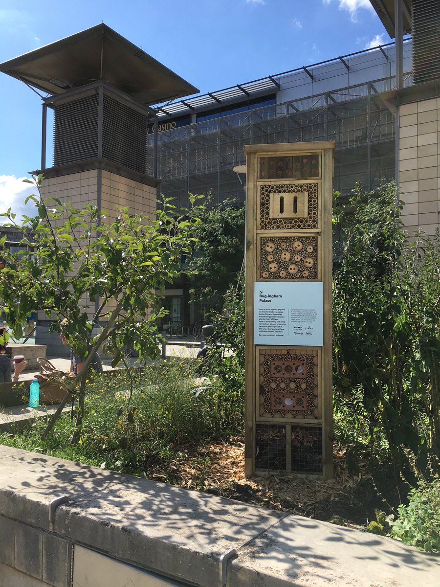 Don’t forget to join us for our regular Thursday work party tomorrow at its NEW TIME!!
From 12-3 we’ll be in Millennium Square getting all herby!!
Why not join us?