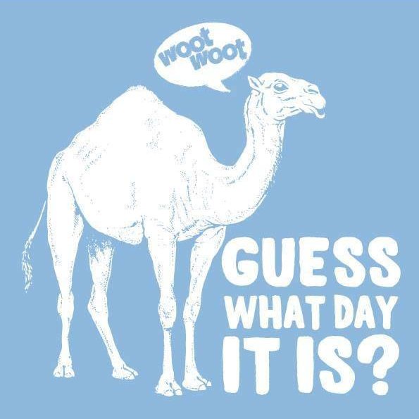 a2insights's tweet photo. Over the hump we go!

#HumpDay #WhyIsItOnlyWednesday #HalfwayThere https://t.co/fxwkJD4Lqu