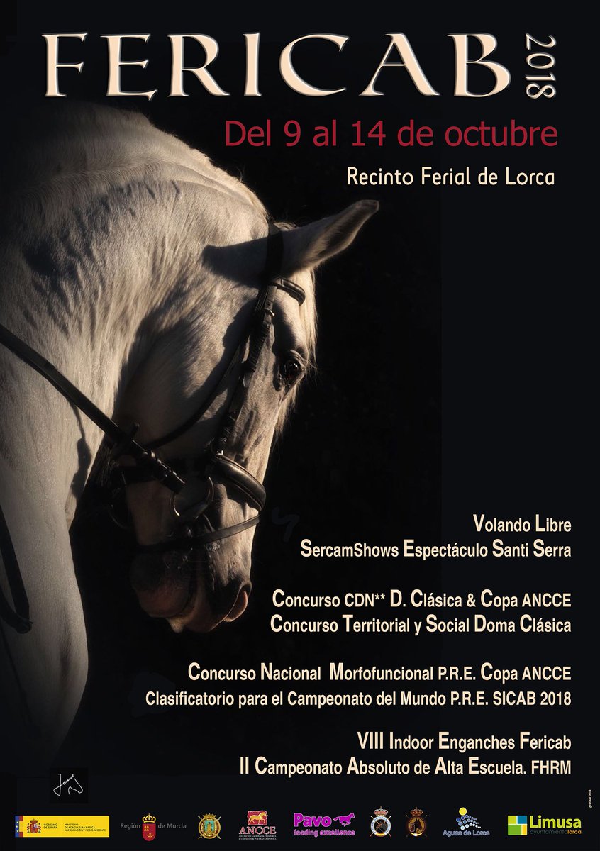 lorcaturismo_es's tweet photo. Buenos días! El maravilloso mundo del caballo se da cita en nuestra ciudad hasta este domingo día 14 en #Fericab https://t.co/WLTg0QAPvo https://t.co/5868vWsn84
