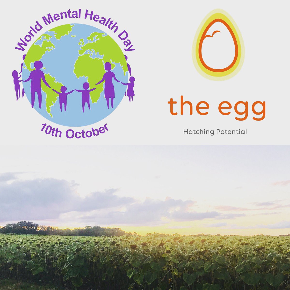 EggtoothProject's tweet photo. Itβs #WorldMentalHealthDay and we are launching @TheEggHastings Specialist Creative Therapies for Children, Young People and Families. #hatchingpotential #creative #safe https://t.co/wHdvzinIuz