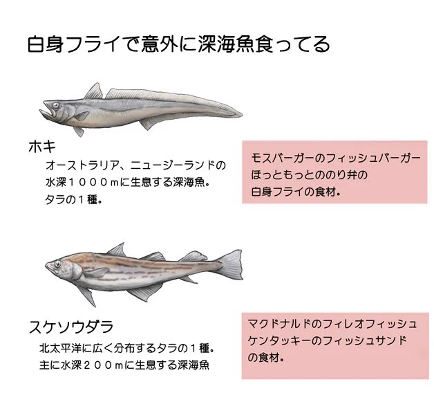 川崎悟司 on X: 