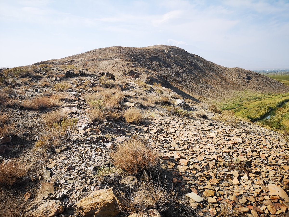 carolemadge's tweet photo. Salve from Artashat, the capital city of ancient Armenia from 176 BC to 120 AD!
I am looking forward to writing about it on my Following Hadrian blog. #FollowingTrajan #Hadrian1900 #Archaeologytravel #Armenia https://t.co/ScU70N8IuX
