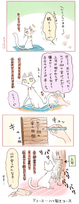メンタルぼきぼきの客を癒してくれる鶴さん(猫) 