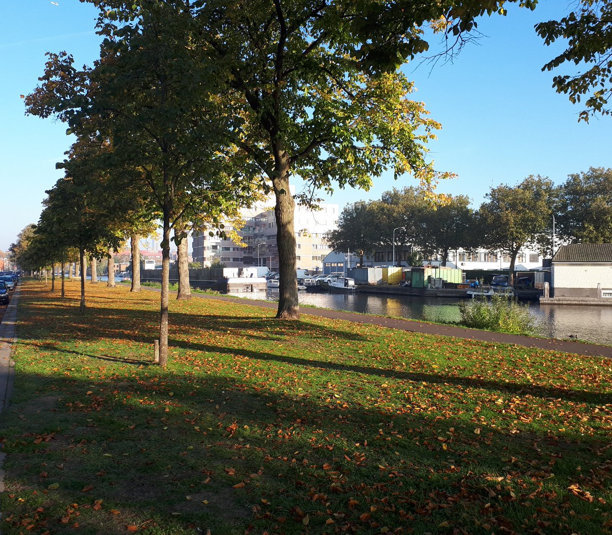 POL_Gerard_HHT's tweet photo. Vroege dienst met een heerlijk zonnetje in #Laak #Molenwijk. Vanaf 10 uur bent u weer welkom op wekelijks spreekuur #wijkagent in #bhvt #wijkcentrum Cromvlietplein. https://t.co/4OrTmN1jGf