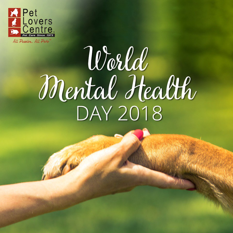Malaysia_PLC's tweet photo. Pets offer us valuable emotional support that sometimes can be underestimated. The companionship our furkids offer is a great way to combat psychological challenges. Let’s create #WorldMentalHealth awareness through our journey with our beloved pets! 🐶🐱💕 #myPLC #MentalHealth https://t.co/XU34q3IdNR