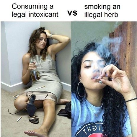 weed_canada's tweet photo. The difference is too good to ignore let’s be real 💨 📷 #legalizacion #weed #alcohol #weeds #smoke #weed_canada #marijuana #cannabis #smokeweed #pot #october17 #canada https://t.co/cMZbEEiBUr
