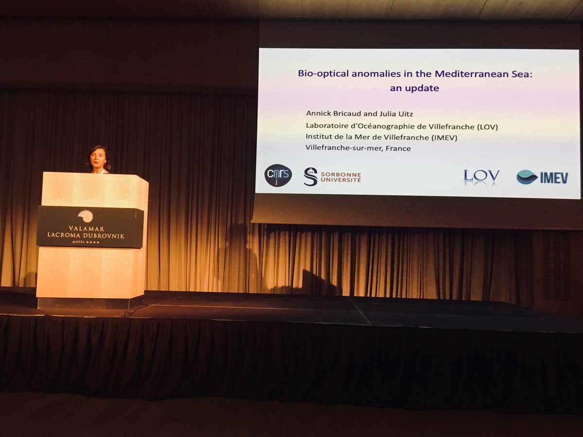 MarieBarbieux's tweet photo. Annick Bricaud from @obsOOV giving her talk during @OceanOpticsConf ! #proud #omtabteam https://t.co/8uBpBf02U5