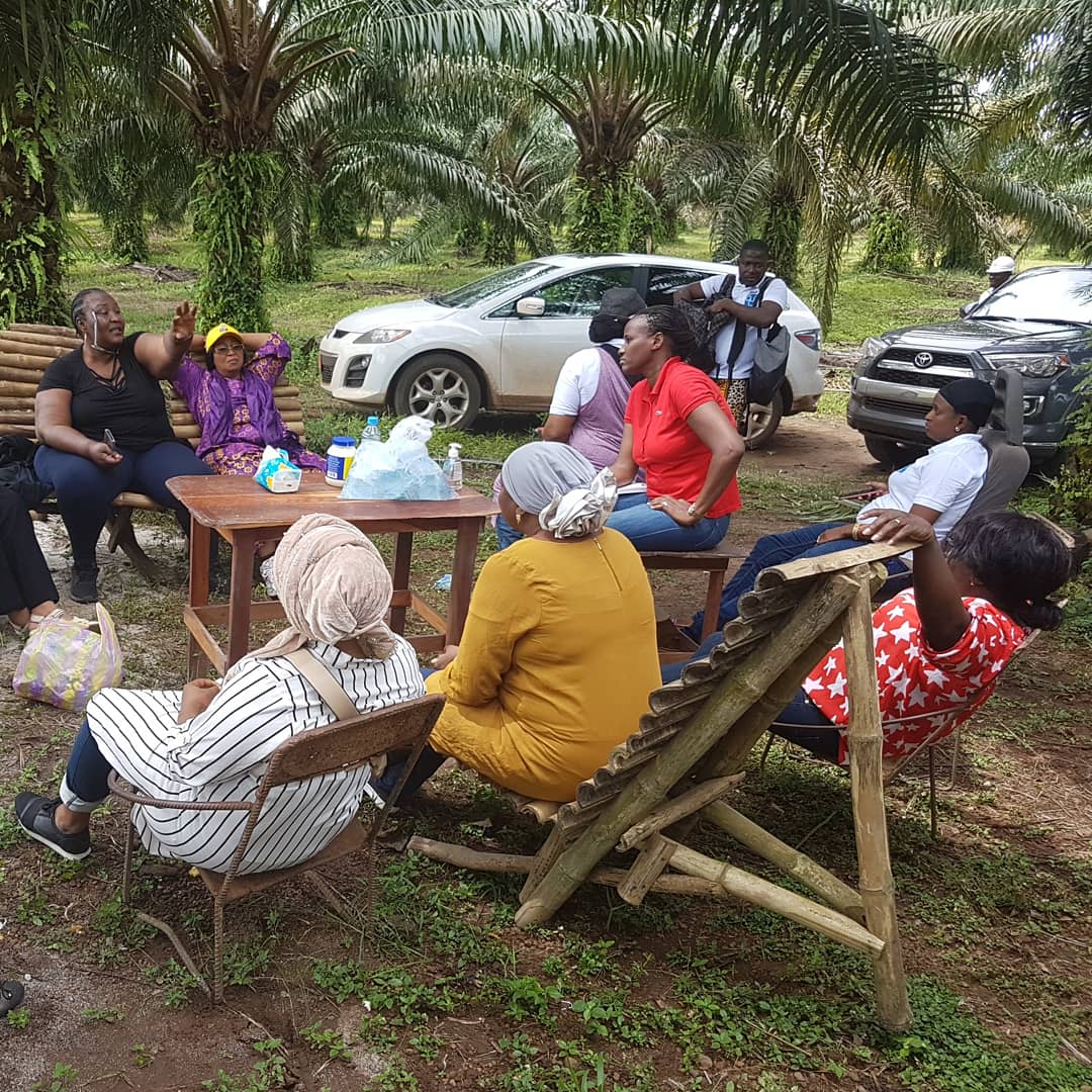 domani_dore_off's tweet photo. #Guinée Forecariah avec mes collègues membre de la coopérative des femmes Amazones de l'agriculture et le développement #CFAAD identifier  50 hectares de sols qui serviront à la rentrée agricole 2019, autour de L'ananas et les maraîchers en priorité. https://t.co/C24gwGaF7K