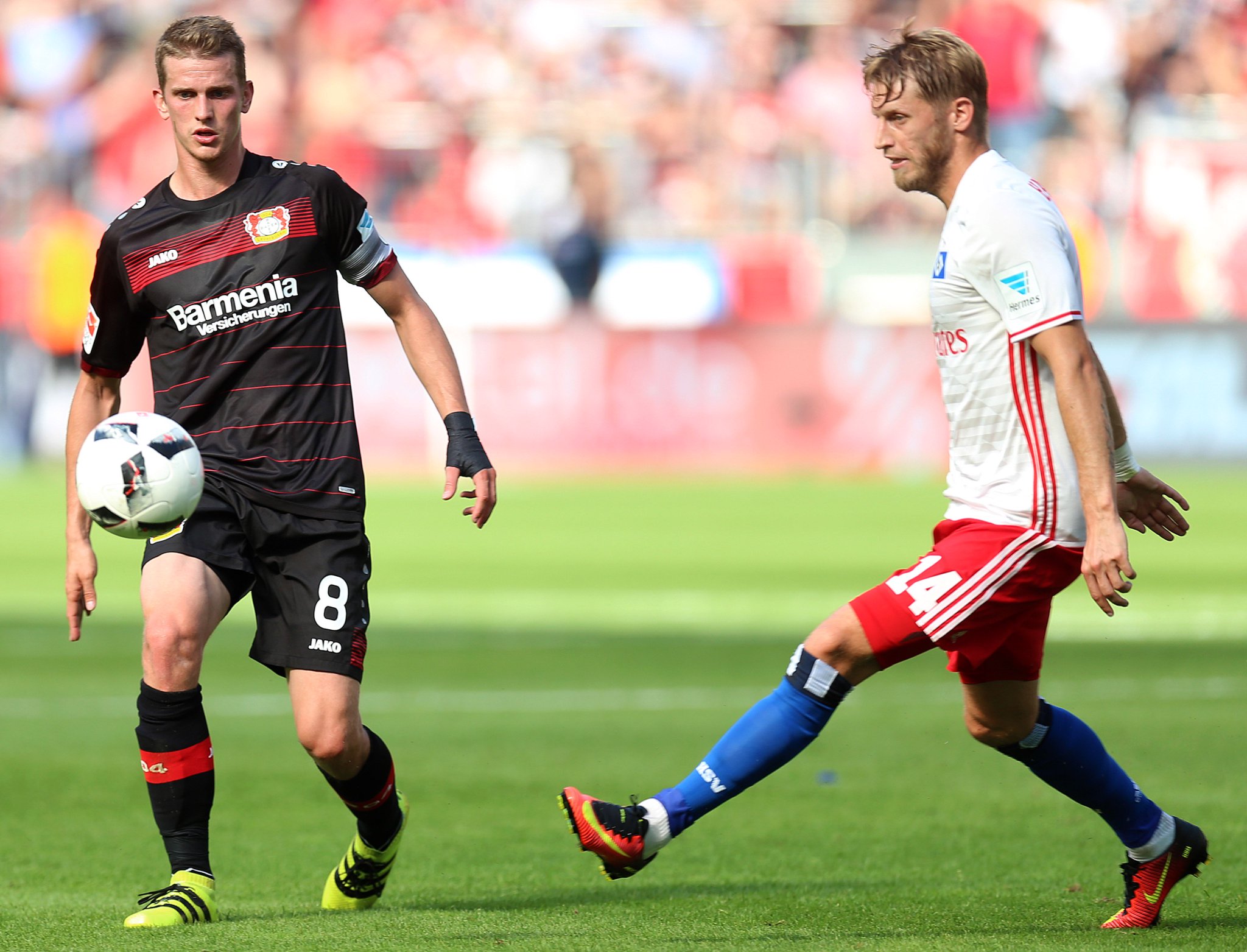 Bayer 04 Leverkusen on Twitter "Anlässlich des Welthuntetags senden