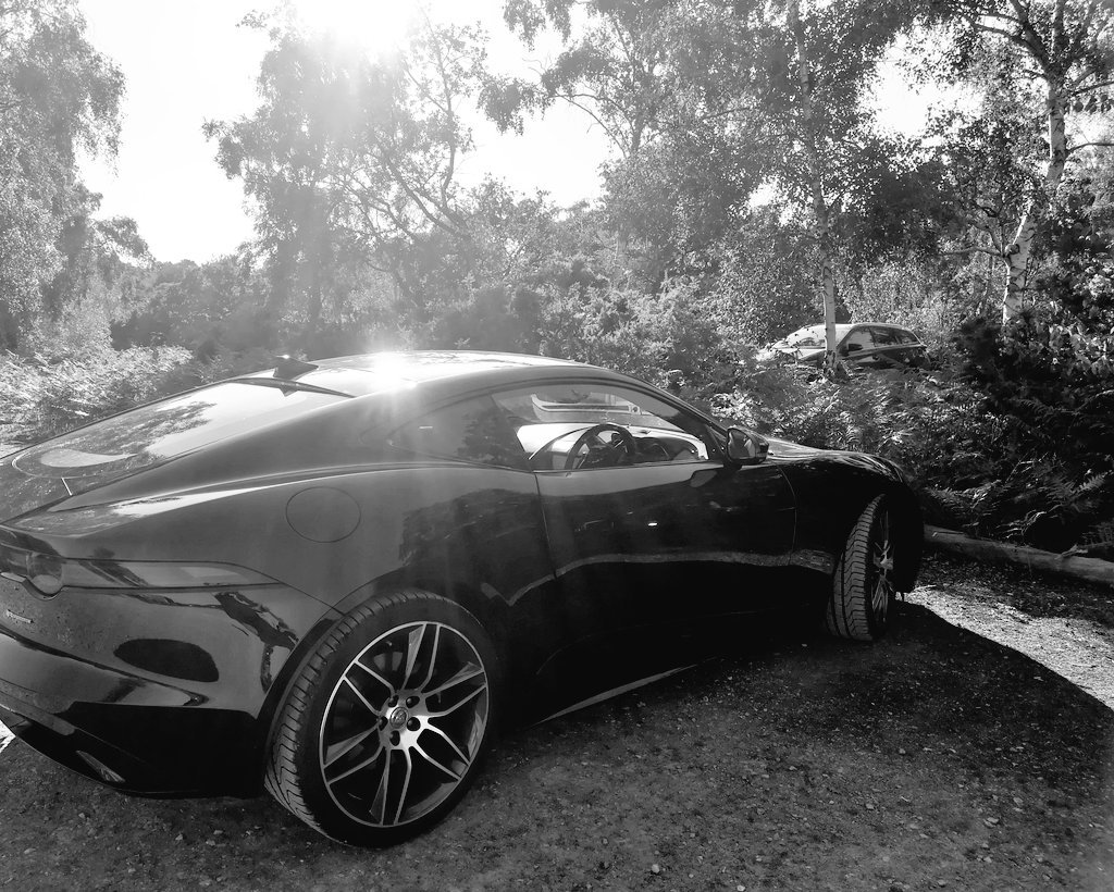 EJWoolf's tweet photo. #woopwoop #leroadtrip #helloEurope ☀️😎☀️ https://t.co/ov5slzvn9M