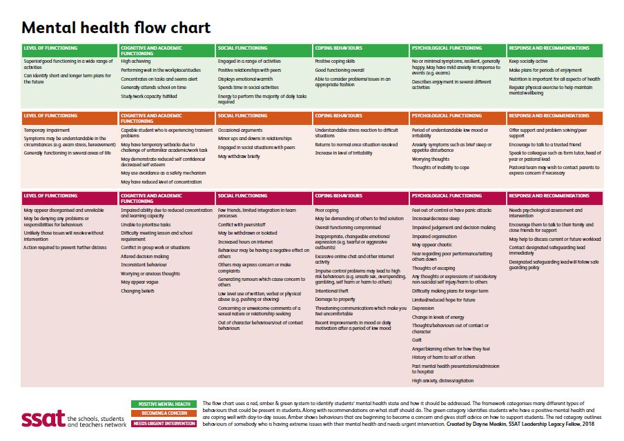 Mental Capacity Flow Chart