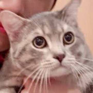 ccapturebyme's tweet photo. cute https://t.co/15wVTJSrEG