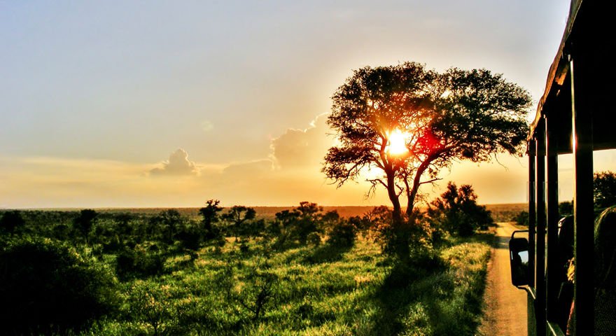 Nous y sommes ! Ouverture de notre offre de rêve vers l'Afrique du Sud 😍🦒✈️ - Places très limitées !
⏩ bit.ly/2pSyic5
#afriquedusud #voyageenfamille #voyagedereve