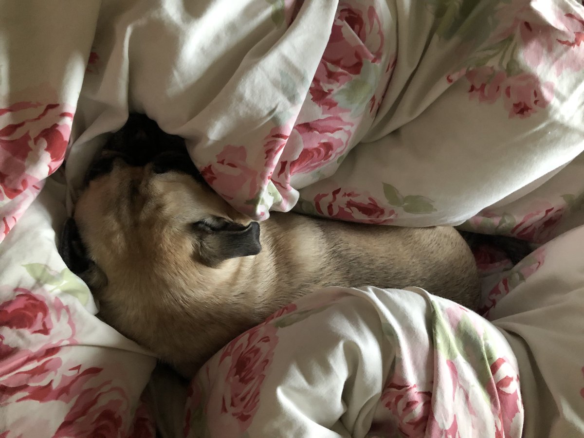 Matthew John Taylor tweet media