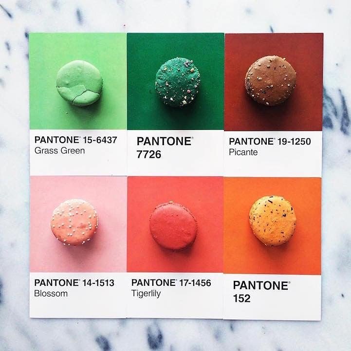 hanzcom7's tweet photo. Yummy pantones 😋😍
#pantone #colors #designer #design #designing #creative #creativecolors #illustrator #photoshop https://t.co/A4Bb3ZbYiR
