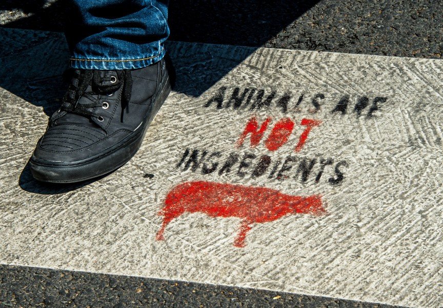 gerardgaltier's tweet image. Le beefsteak lejournaldunjournaliste.wordpress.com/2018/10/10/le-…