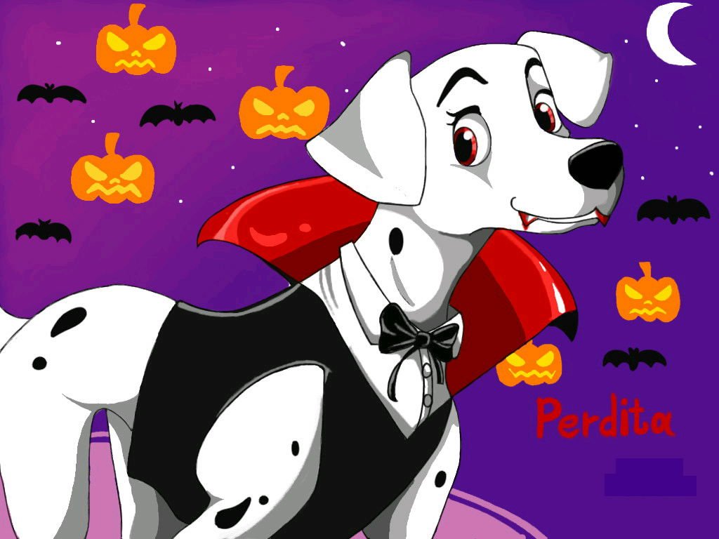 パディータ Cerca Al Twitter