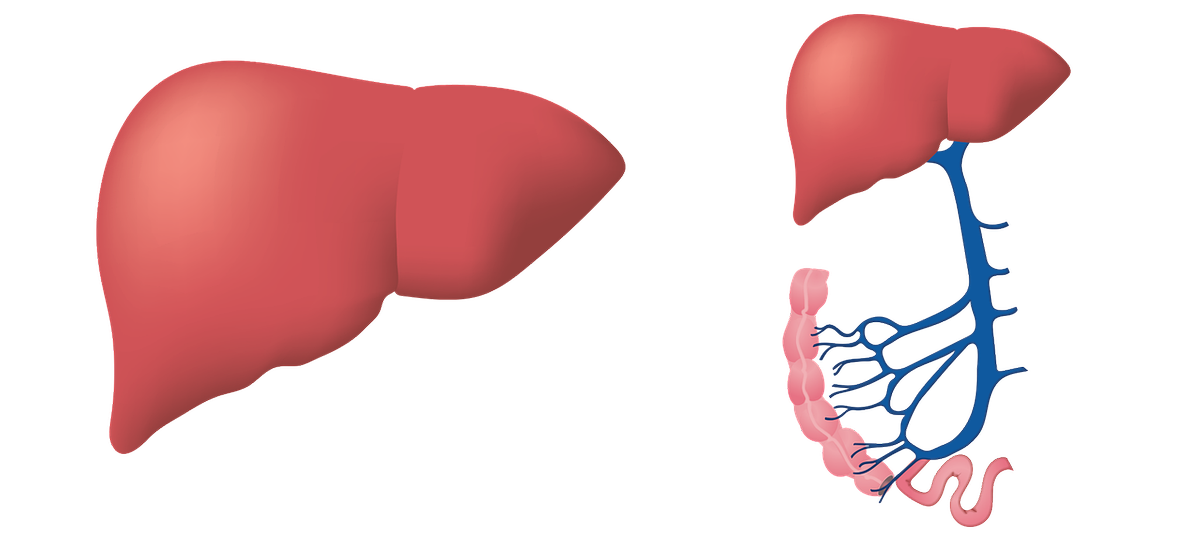 CurcuminShop's tweet photo. Active organic compounds found to improve liver function &amp; reduce levels of toxicity in the body by stimulating lymphatic system &amp; removing toxins. Antioxidant activities of turmeric, ideal solution for liver ailments such as cirrhosis &amp; fatty liver.⠀https://t.co/FluxEK95bI https://t.co/8CJx5XMnEp
