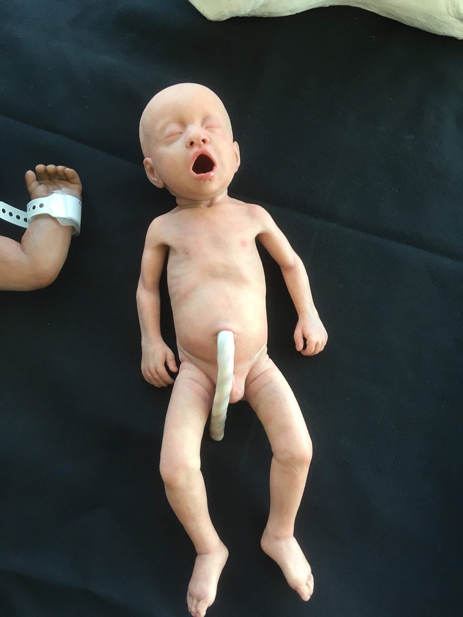bevlovemidwife's tweet photo. @Lifecast_Body @LChoucri @louiseyuill78 @erwu1998 @e_leyland using life like mannequins in sim learning for medics and paramedics @EastEnglandAmb #CBD18 Amazing!! https://t.co/pgASXg7AjY