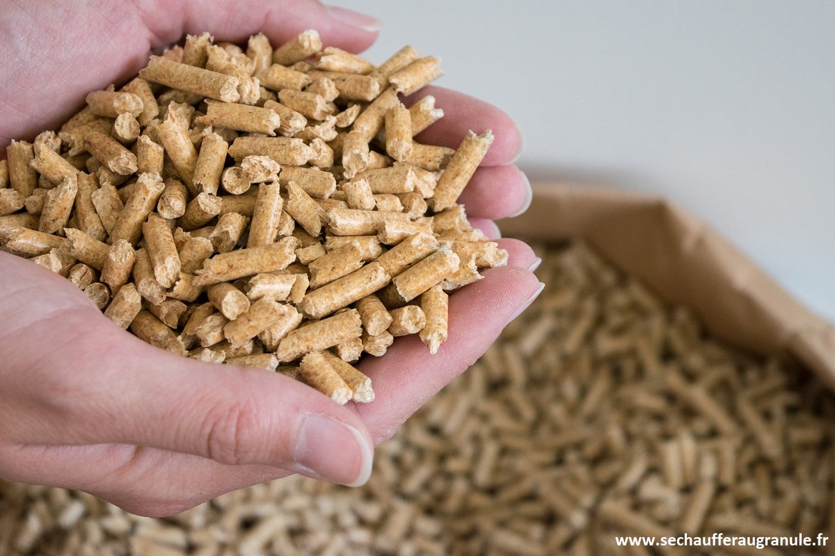 Le saviez-vous : Vous êtes 800 000 à vous chauffer au granulé ! Vous pouvez être fier d'avoir choisi une énergie écologique, locale et qui contribue à la qualité de l'air. sechaufferaugranule.fr
 #GranuléBois #ChauffageBois #SeChaufferAuGranulé #Pellets