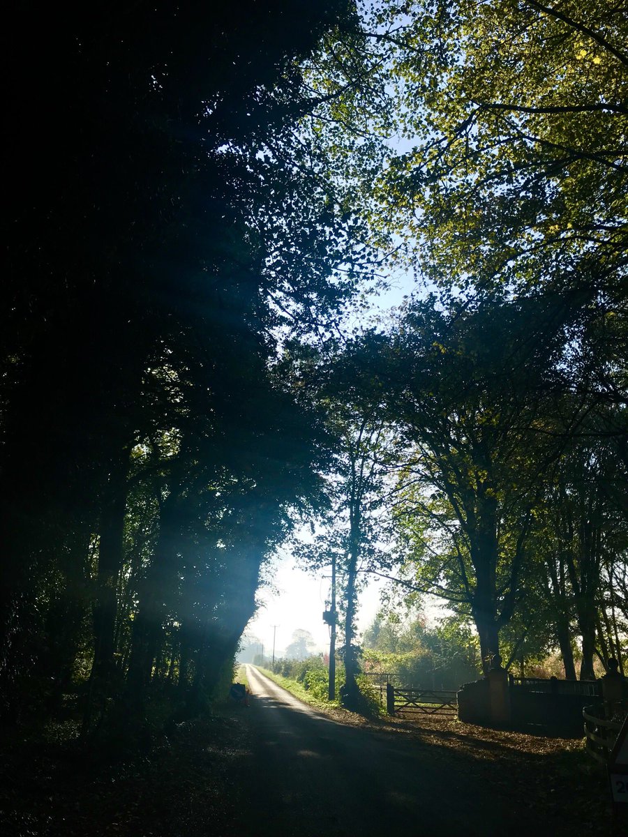 SazMills's tweet photo. Lovely warm sunny dog walk - The best medicine.... ๐ณ๐๐ธ#GetOutSude #autumn #MentalHealthDay2018 #goodforthesoul https://t.co/1uHjZVtfgP
