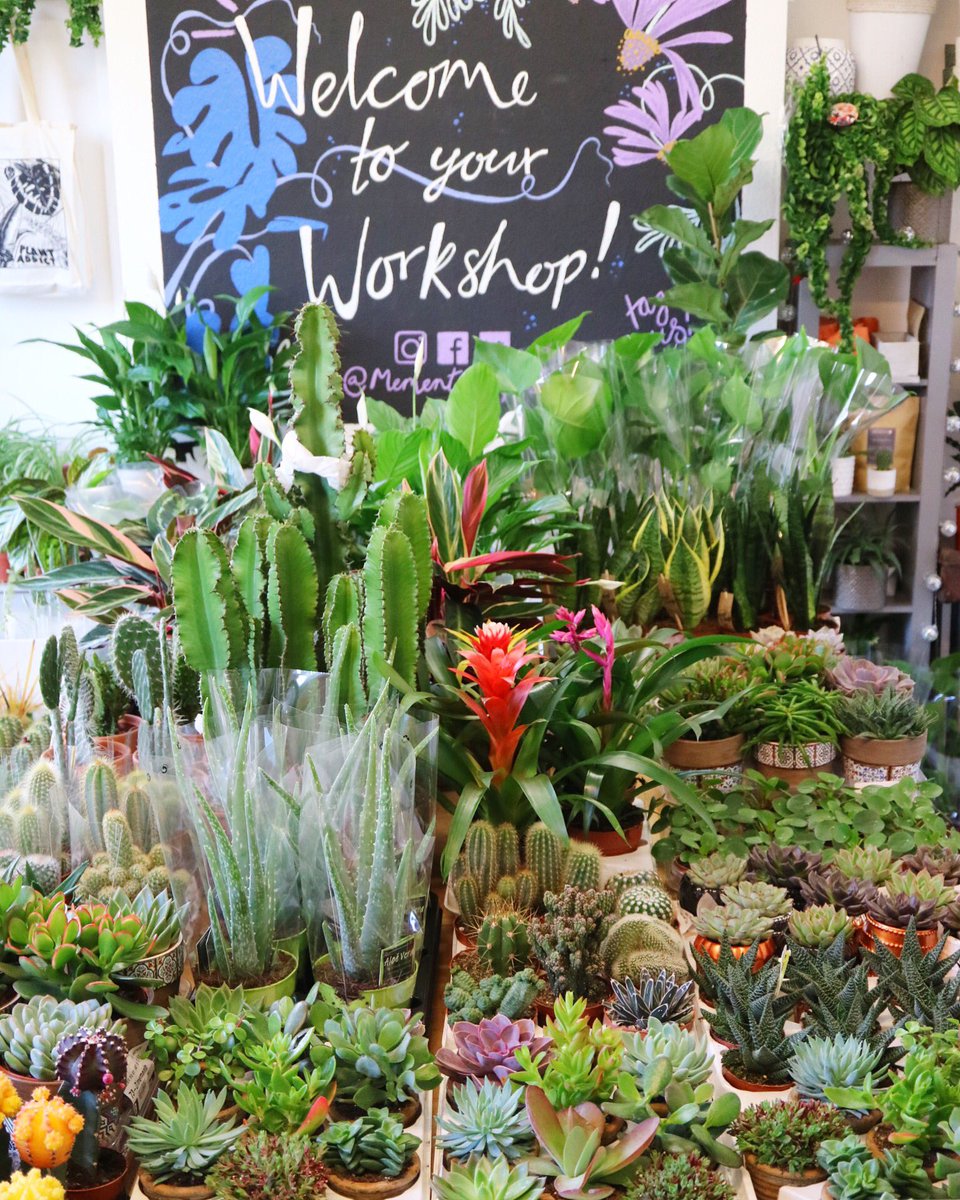 Catch us <a href="/LoveYourHomeNI/">Love Your Home</a> show this weekend @TECBelfast #PlantAddicts #MementoBelfast #Belfasthour