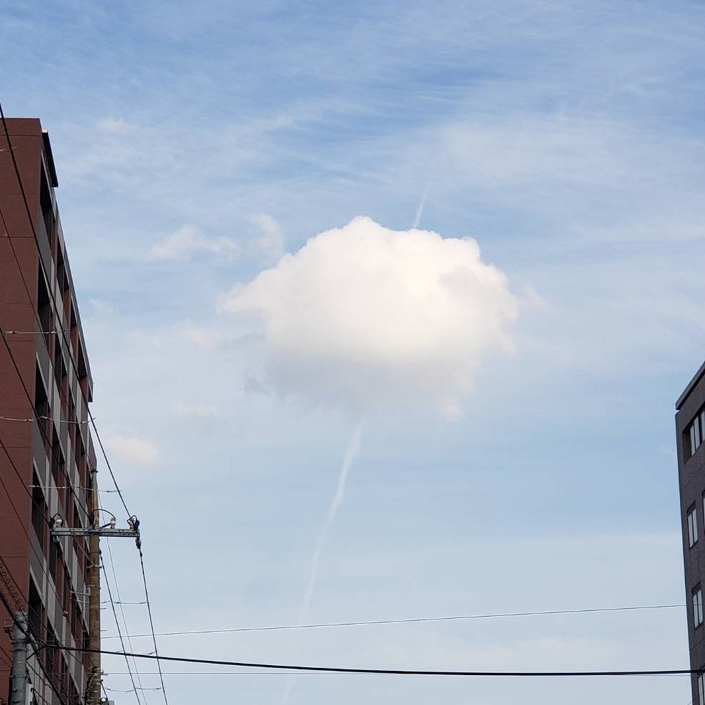 わたがし雲