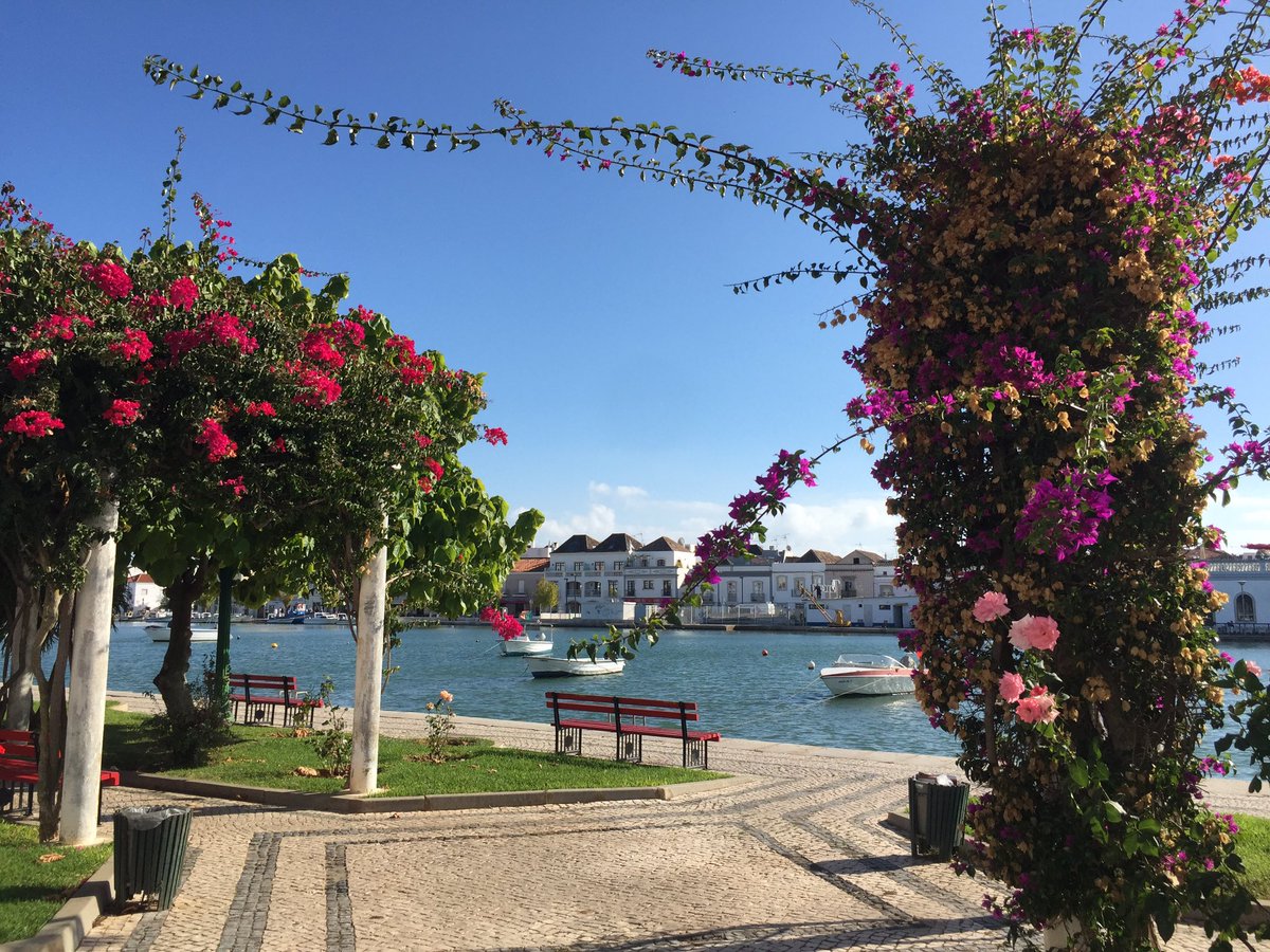 Breathe, smell the flowers, listen to the water, chat, be quiet, read, meditate, do what makes you feel like you. #WorldMentalHealthDay18