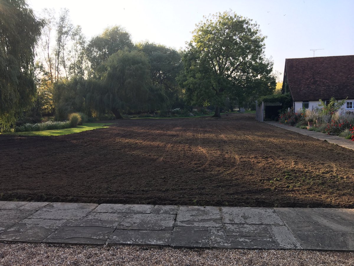 Extreme scarification! Lawn so badly patched post drought plus compacted and uneven that drastic action has been taken. Tomorrow stone removal and levelling and then reseeding. Wanted to sort the lawn out for years so drought has had a positive result!